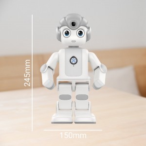 Alpha mini Robot